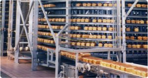 Bread Loaves on an IJ White Spiral Cooler