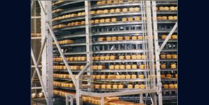 bread staling system