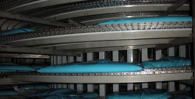 Blue Pouches of Ricotta Cheese on a Spiral Pouch Processing System