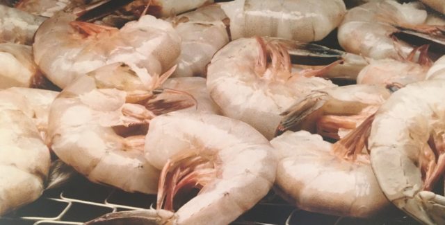 Raw Shrimp on an IJ White Ultra Series Spiral Freezer Metal Conveyor Belt