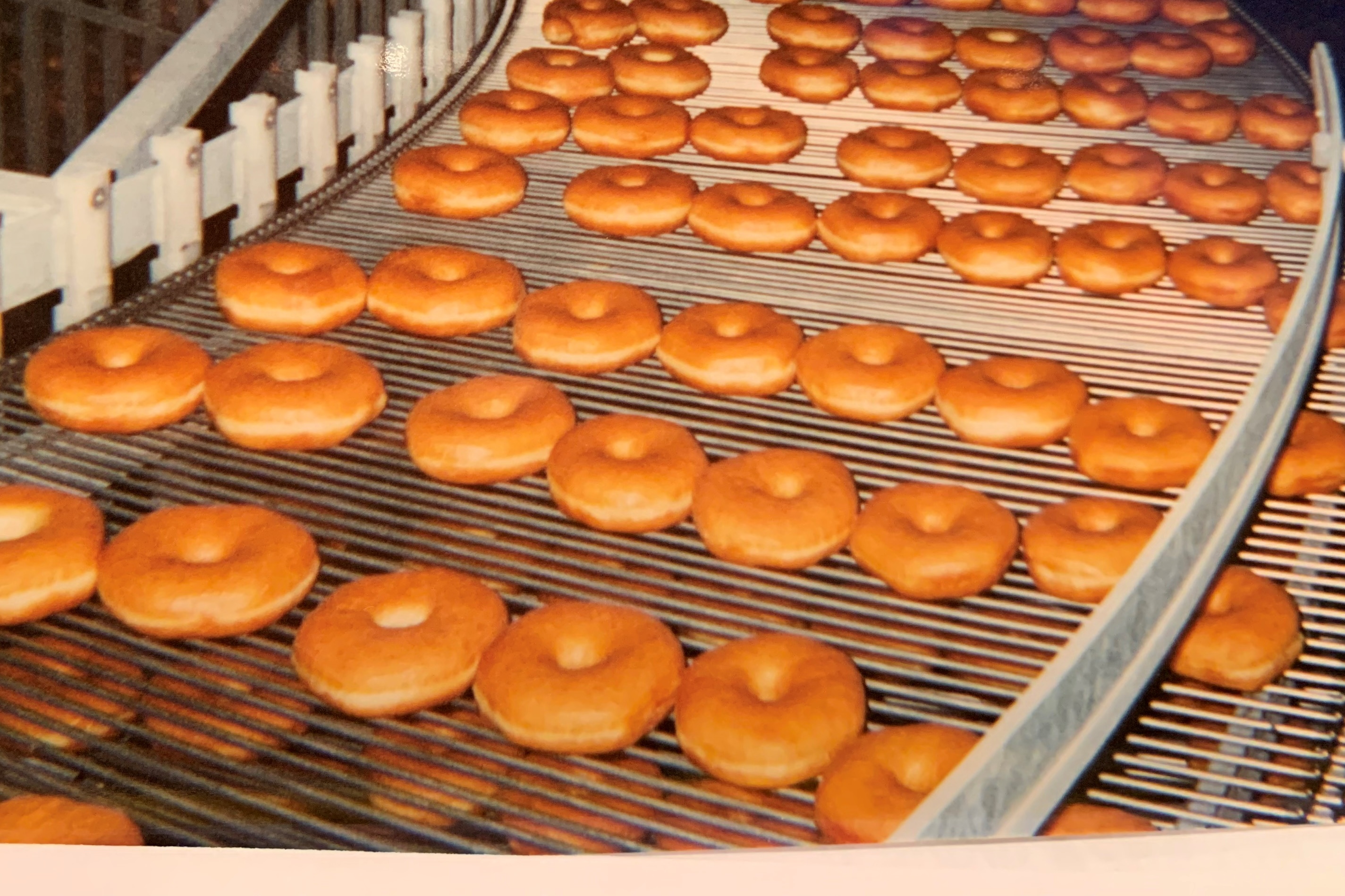 Plain Donuts on an Ultra Series Spiral Belt